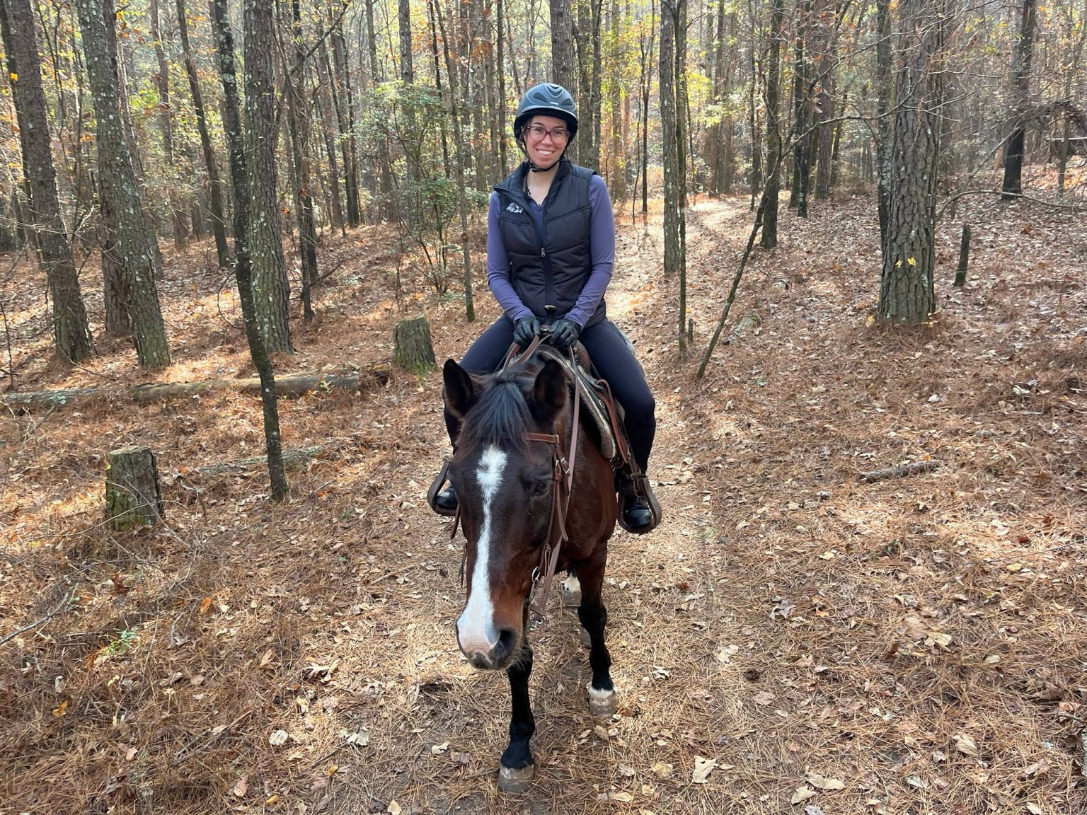 A rider on a wooded trail