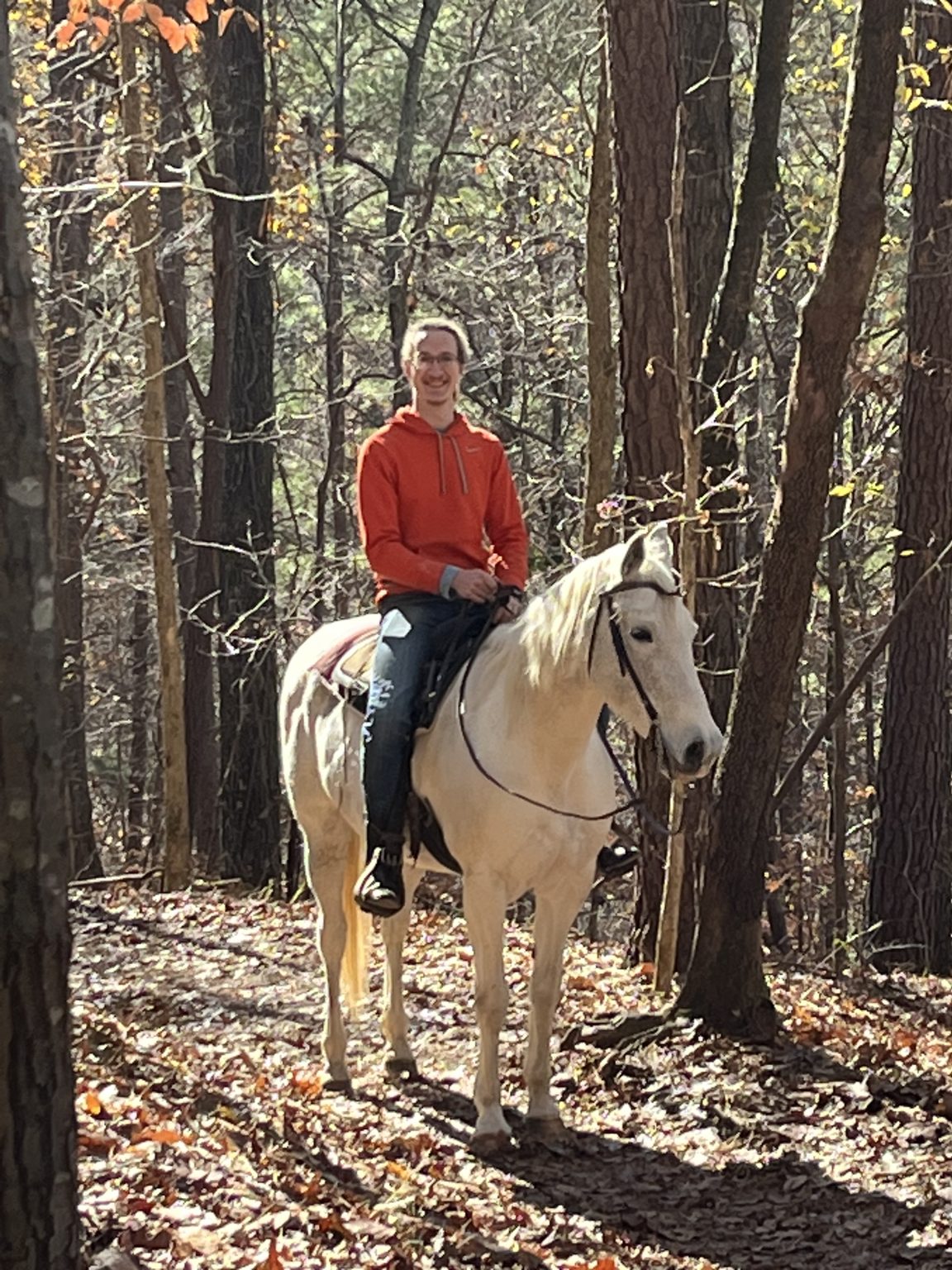 David on horseback