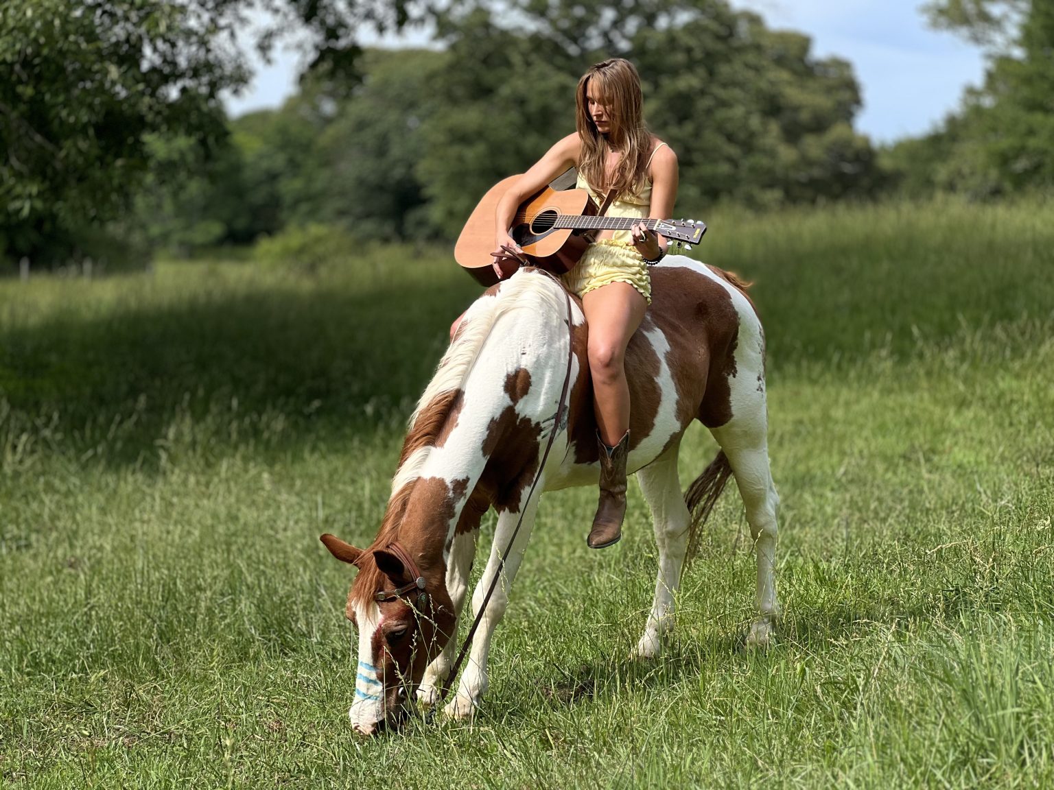 Photo session at Joarder Acres